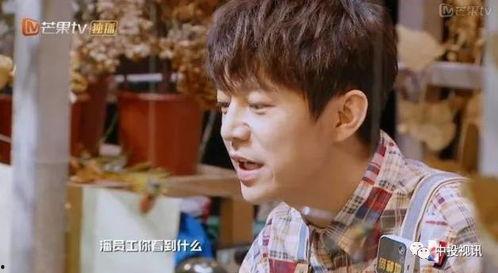 明星大侦探第一季 吃瓜爆料每日大赛最新动态,吃瓜爆料，每日大赛精彩纷呈！