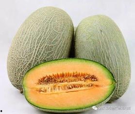 2025大瓜事件,揭秘年度娱乐圈风云变幻